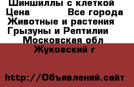 Шиншиллы с клеткой › Цена ­ 8 000 - Все города Животные и растения » Грызуны и Рептилии   . Московская обл.,Жуковский г.